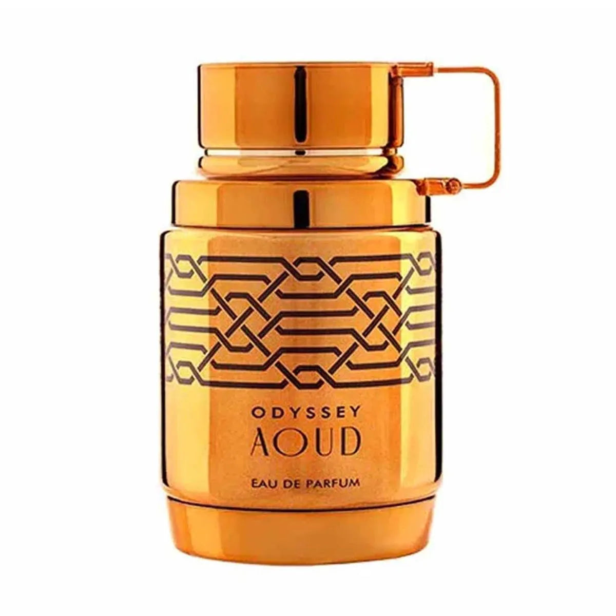 Armaf Odyssey Aoud Eau de Parfum 100 ml | Profumo Lussuoso